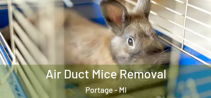 Air Duct Mice Removal Portage - MI