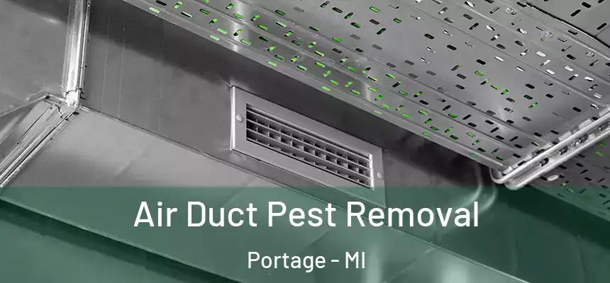  Air Duct Pest Removal Portage - MI