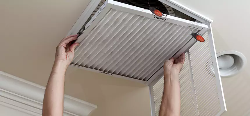 Our Insect Removal from Air Ducts Services in Portage, MI