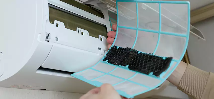 Gentle Ductwork Odor-Control Pet Dander Duct Cleaning in Portage, MI