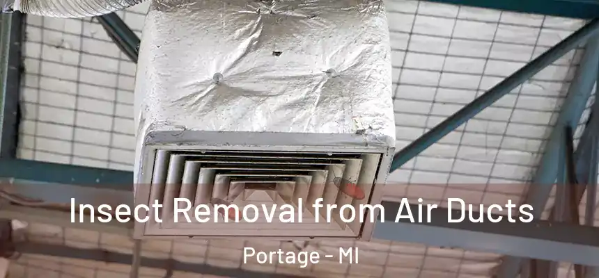  Insect Removal from Air Ducts Portage - MI
