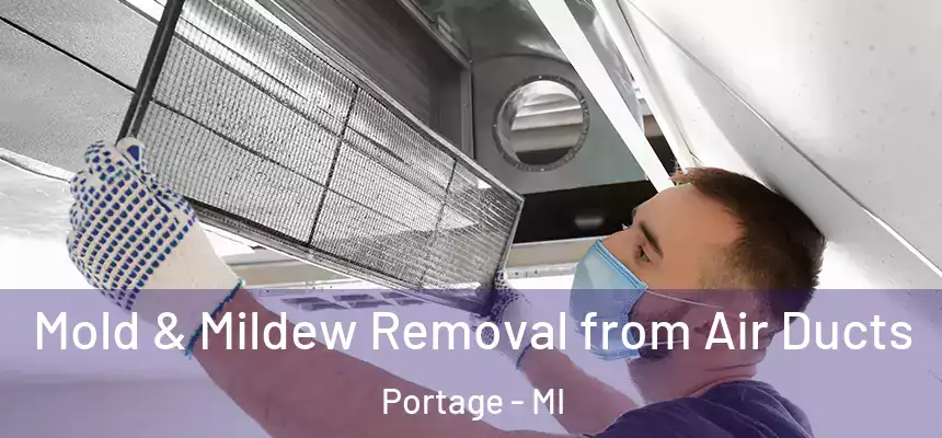 Mold & Mildew Removal from Air Ducts Portage - MI