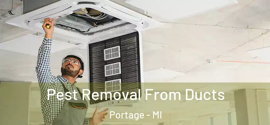 Pest Removal From Ducts Portage - MI