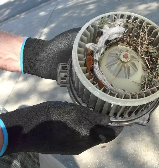 About Air Duct Rat Removal in Portage, MI